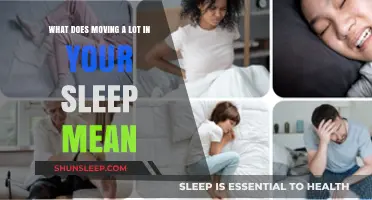 Why Do We Move in Our Sleep?