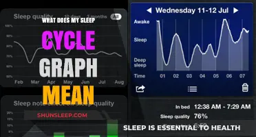 Understanding Sleep Cycles: Graph Interpretation