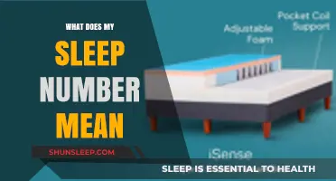 Understanding Your Sleep Number: What Does It Mean?