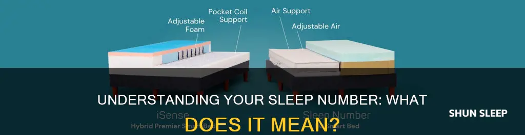 what does my sleep number mean