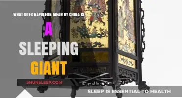 Napoleon's China: A Sleeping Giant's Awakening