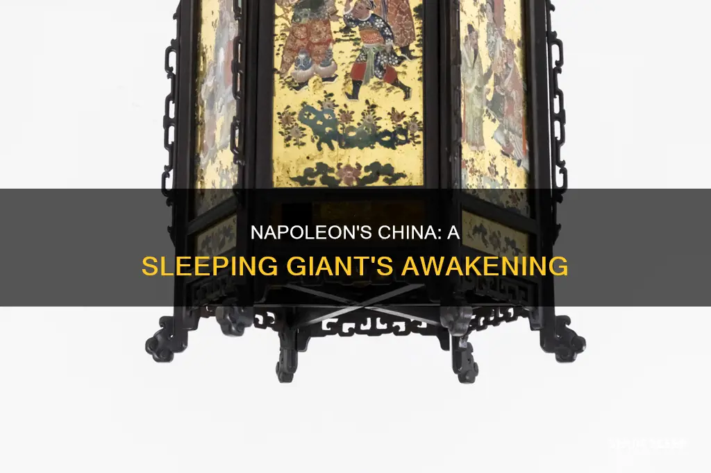 what does napoleon mean by china is a sleeping giant