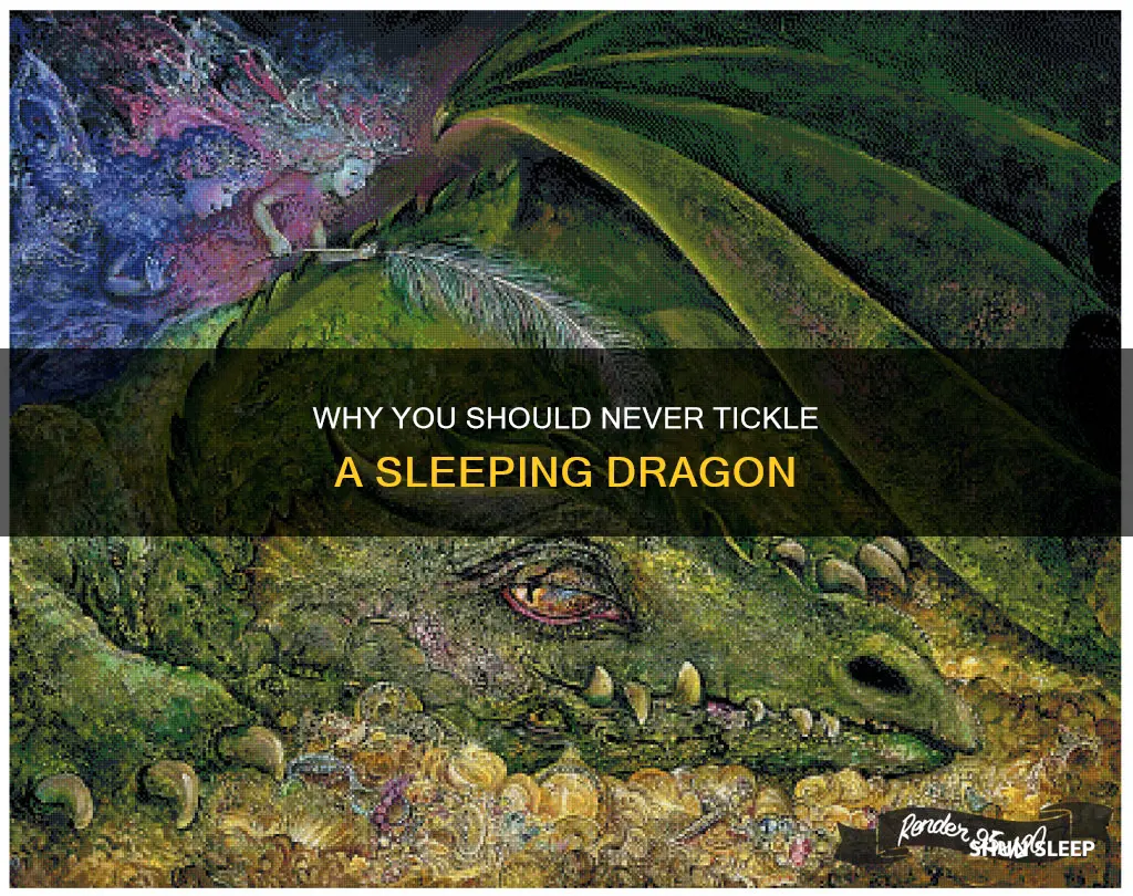 what does never tickle a sleeping dragon mean