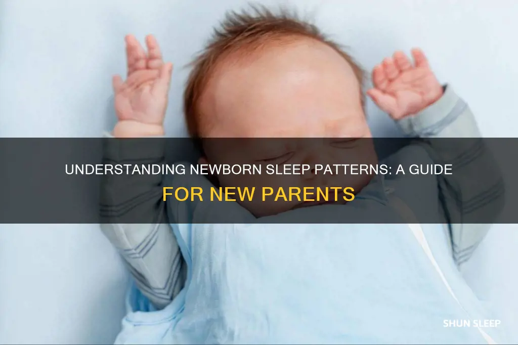 what does newborn sleep look like