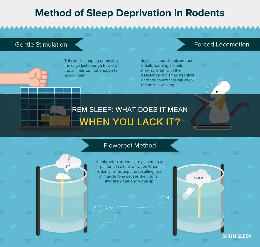 what does no rem sleep mean