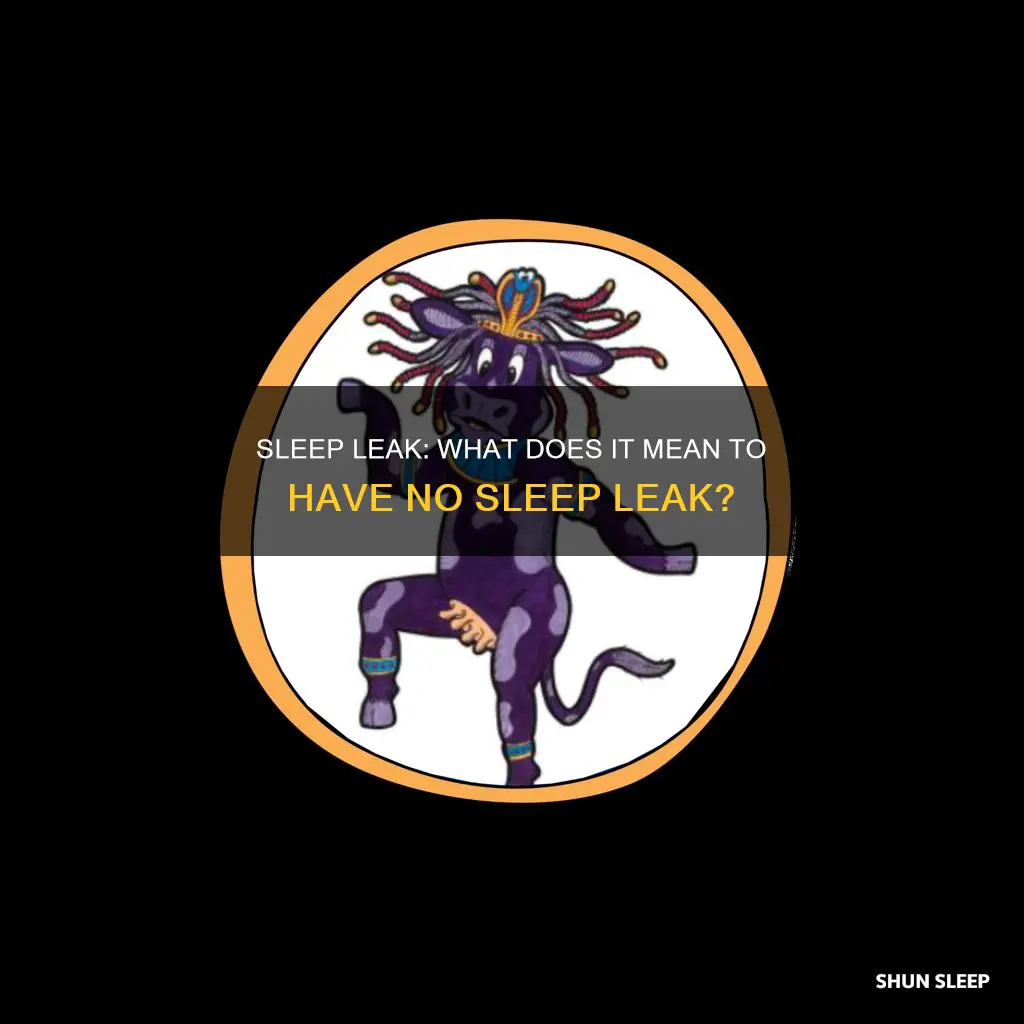 what does no sleep leak mean