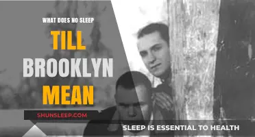The Meaning Behind 'No Sleep Till Brooklyn