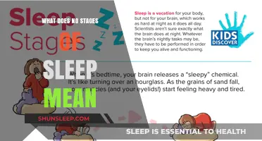 Sleep Stages: What Does Their Absence Mean?