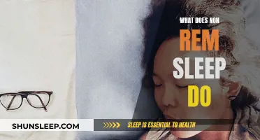 Non-REM Sleep: The Body's Restoration Mode