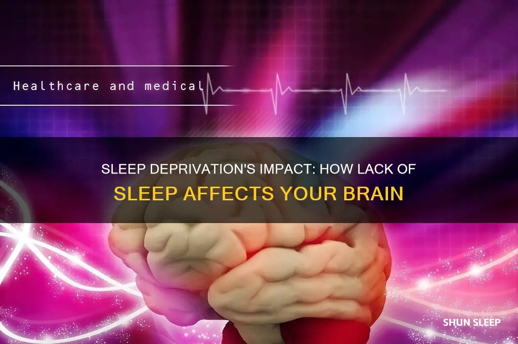 what does not getting enough sleep do to your brain