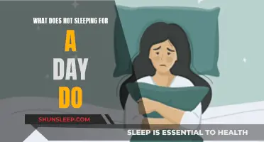 Sleep Deprivation: A Day Without Sleep and Its Effects