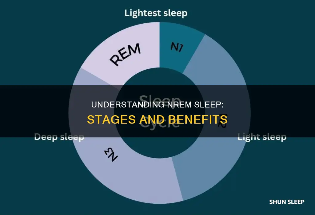 what does nrem sleep mean