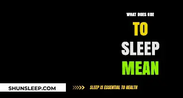Exploring Sleep's Ode: Understanding the Poetic Lyrics