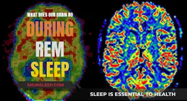 Brain Activity During REM Sleep: Unlocking the Mystery