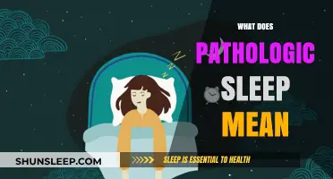 Pathologic Sleep: Understanding the Science of Sleep Disorders