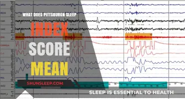 Understanding Pittsburgh Sleep Quality: Index Scores Explained