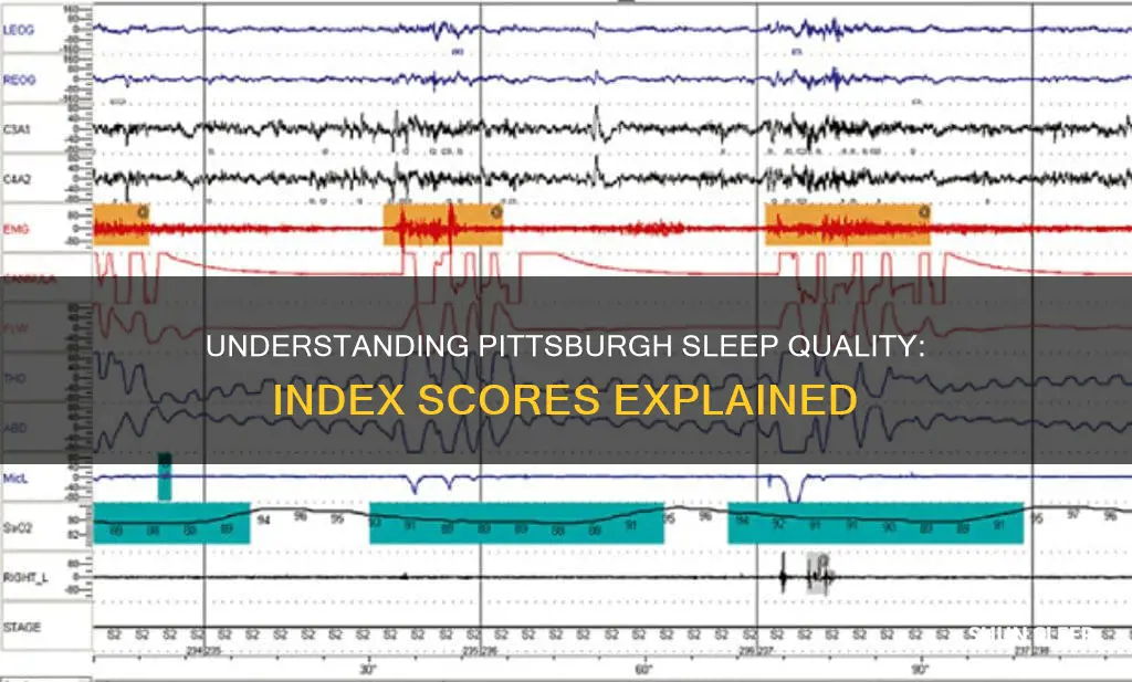 what does pittsburgn sleep index score mean