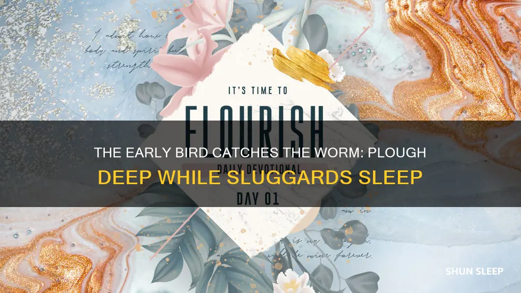 what does plough deep while sluggards sleep mean