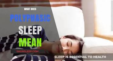 Polyphasic Sleep: The Ultimate Guide to Napping