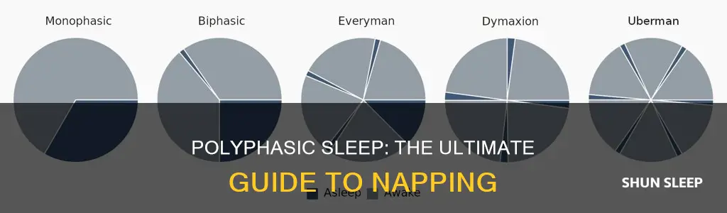 what does polyphasic sleep mean