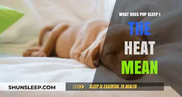 How Heat Affects Your Pup's Sleep
