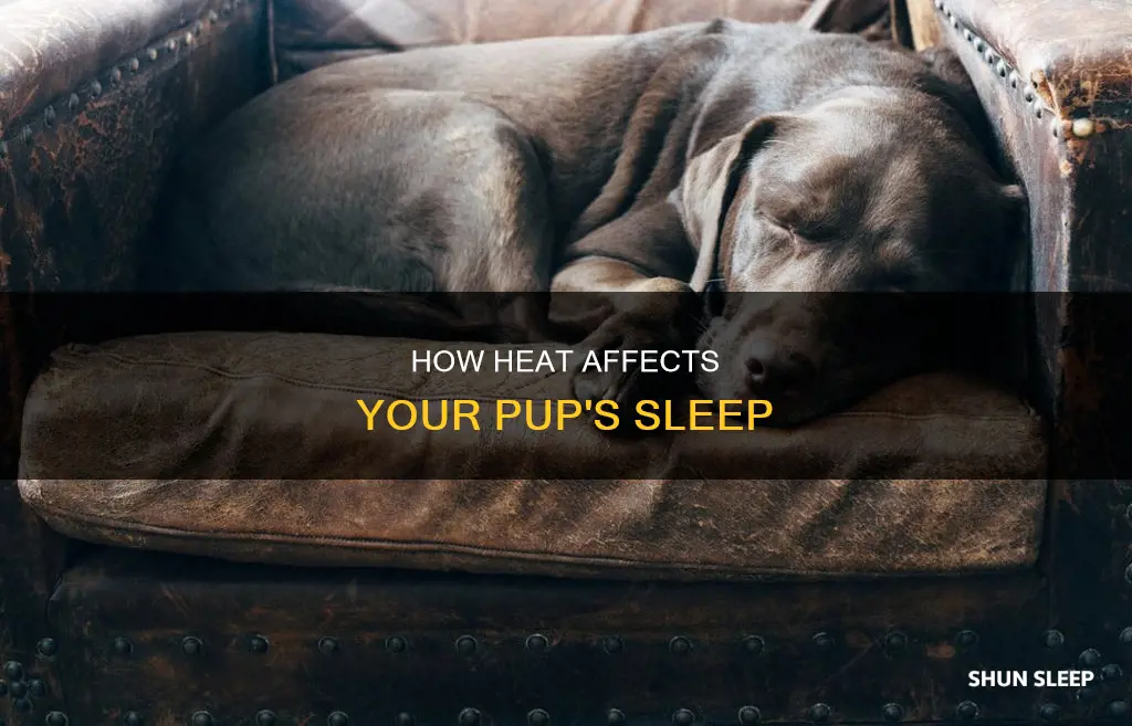 what does pup sleep i the heat mean
