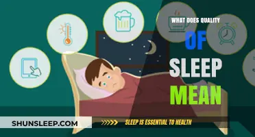 Understanding Sleep Quality: The Science of Sleep Explained