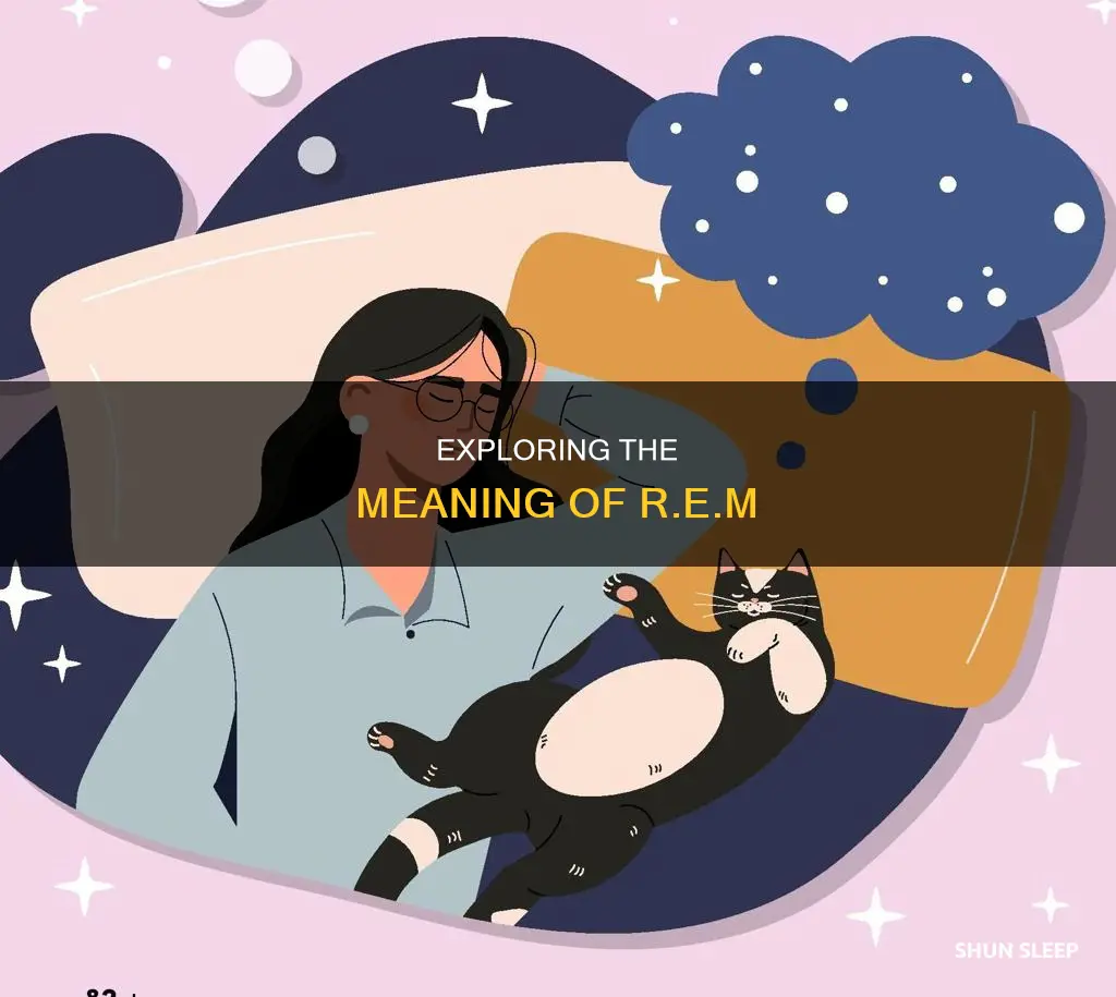 what does r e m mean