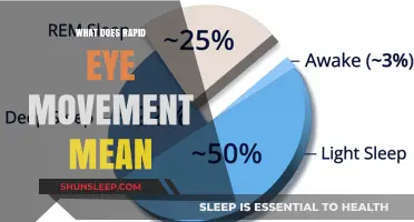 Understanding Rapid Eye Movement Sleep