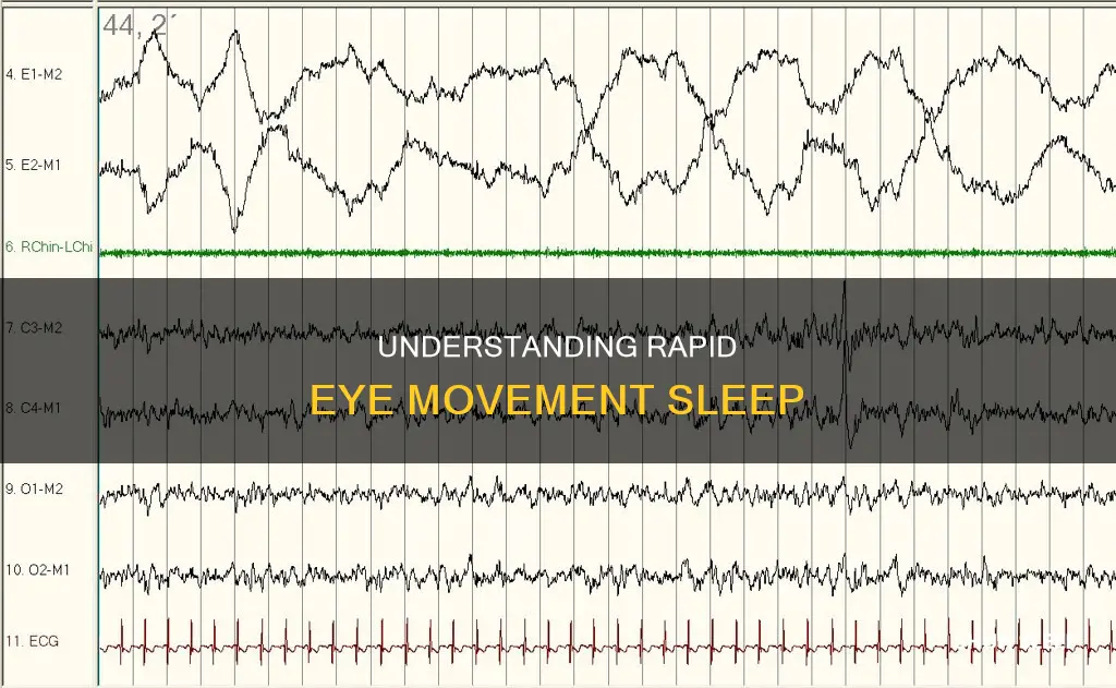 what does rapid eye movement mean