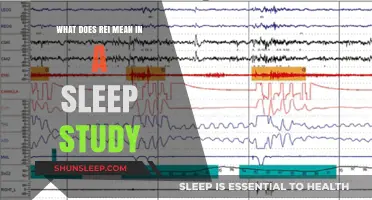 Understanding Rapid Eye Movement: Rei in Sleep Study