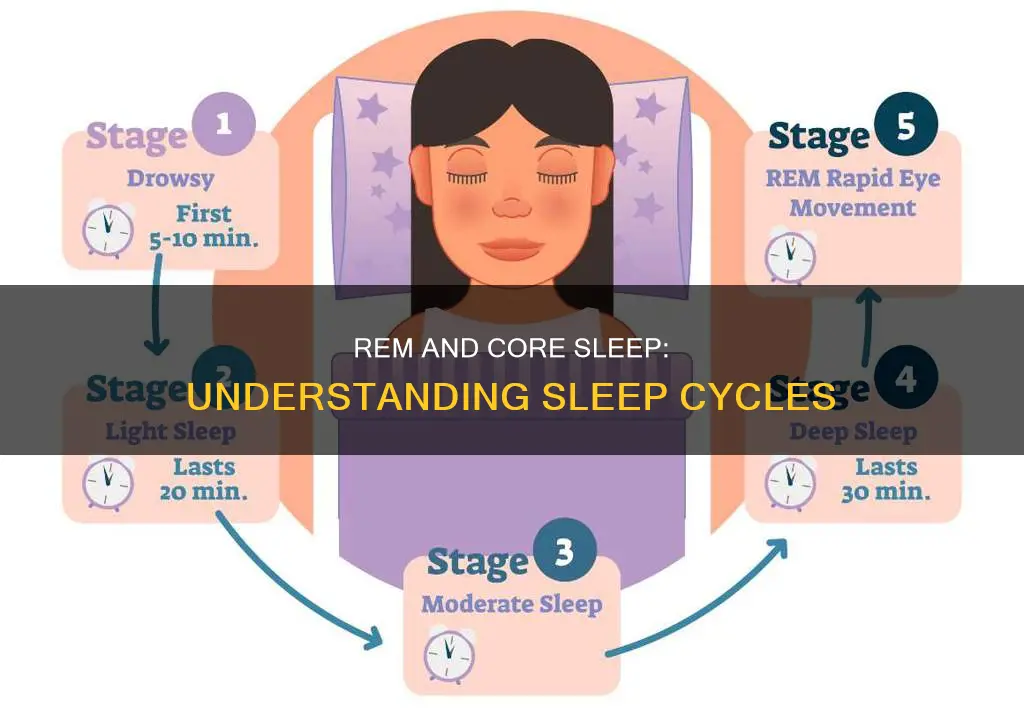 what does rem and core sleep mean