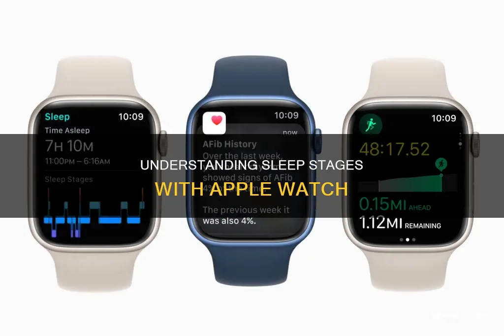what does rem core and deep sleep mean apple watch