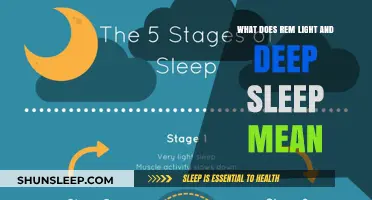 Understanding Sleep: REM, Light, and Deep Sleep Explained