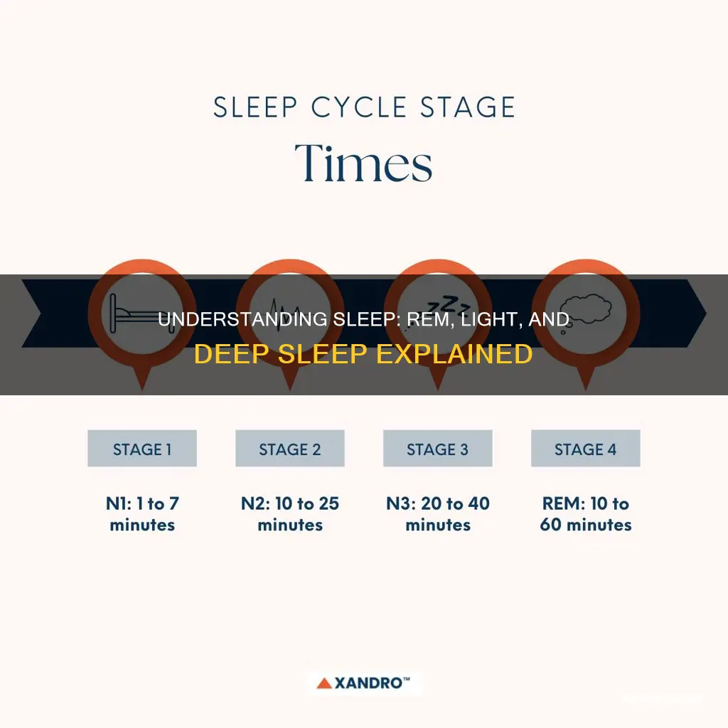 what does rem light and deep sleep mean