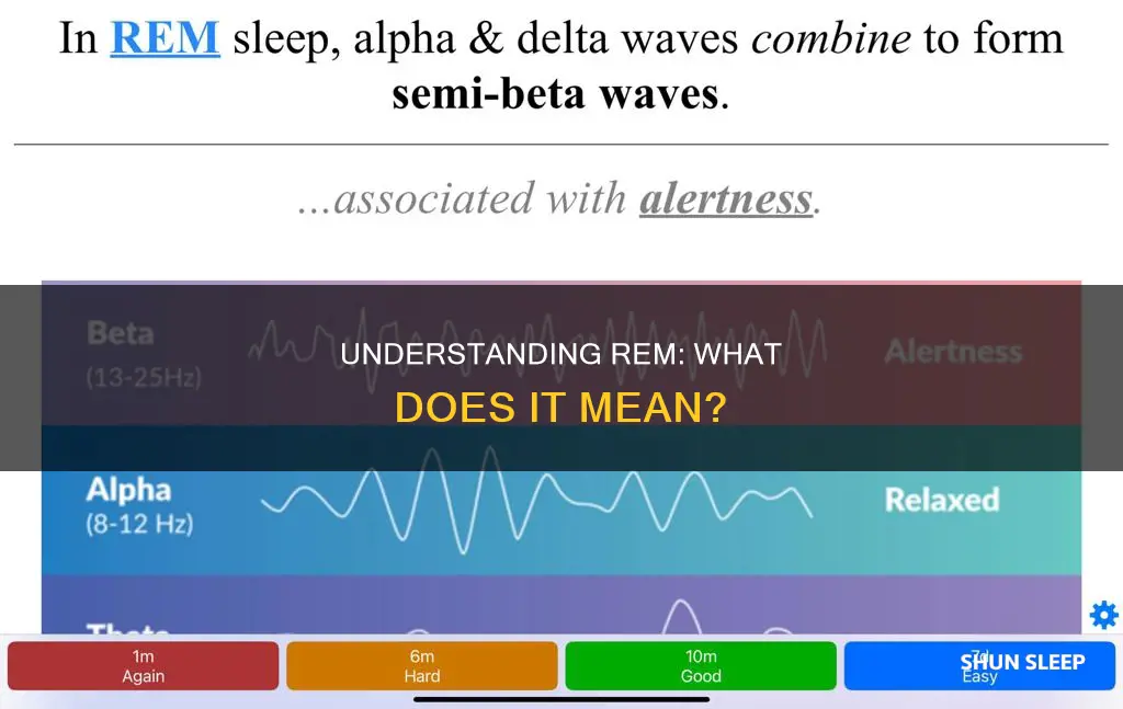 what does rem mean