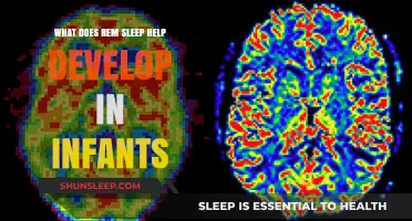 REM Sleep's Role in Infant Brain Development and Growth