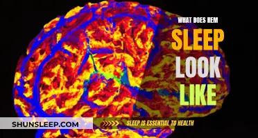 Understanding REM Sleep: Brain Activity and Eye Movement