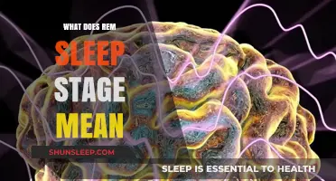 REM Sleep: Understanding the Meaning of This Stage