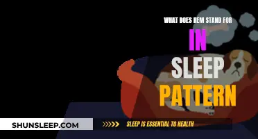 Understanding REM: Sleep's Vital Phase Explained