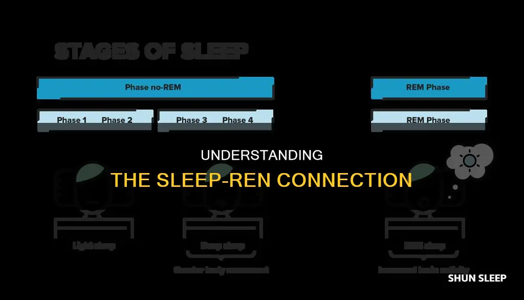what does ren mean for sleep