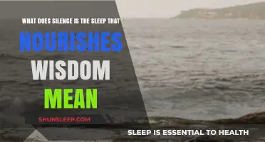 Silence: Nurturing Wisdom Through Quietude