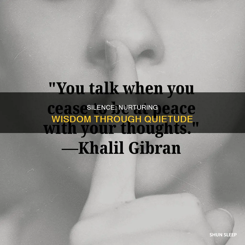 what does silence is the sleep that nourishes wisdom mean