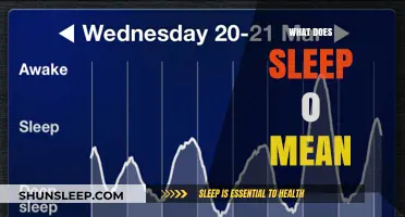 Understanding the Meaning of Sleep 0