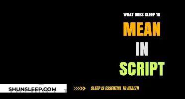 Understanding the Sleep 10 Code in Script