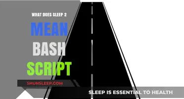 Understanding Sleep 2 in Bash Scripting