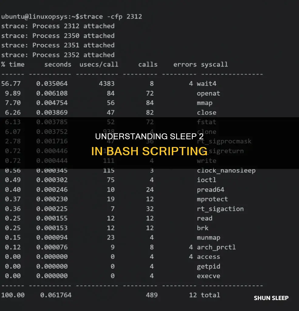 what does sleep 2 mean bash script