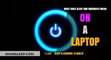 Understanding Sleep and Hibernation Modes on Your Laptop