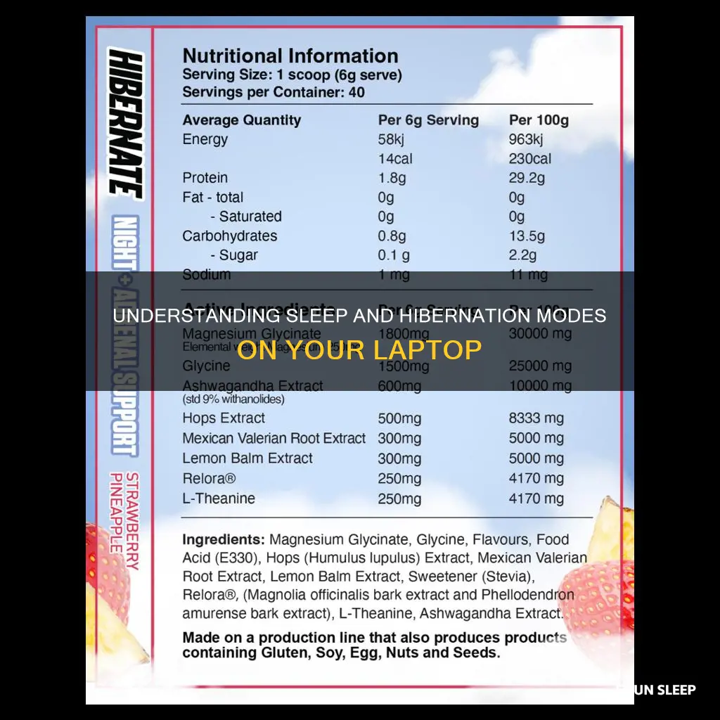 what does sleep and hibernate mean on a laptop