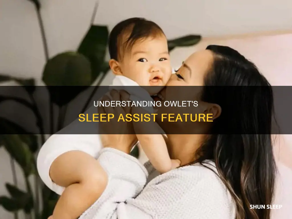what does sleep assist mean on owlet